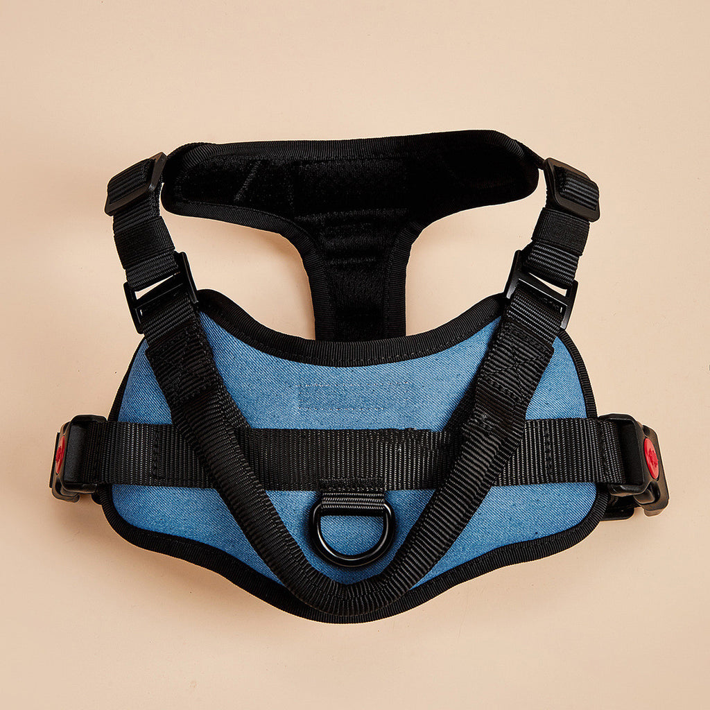 Dog harness chest strap detail