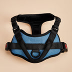 Dog harness chest strap detail