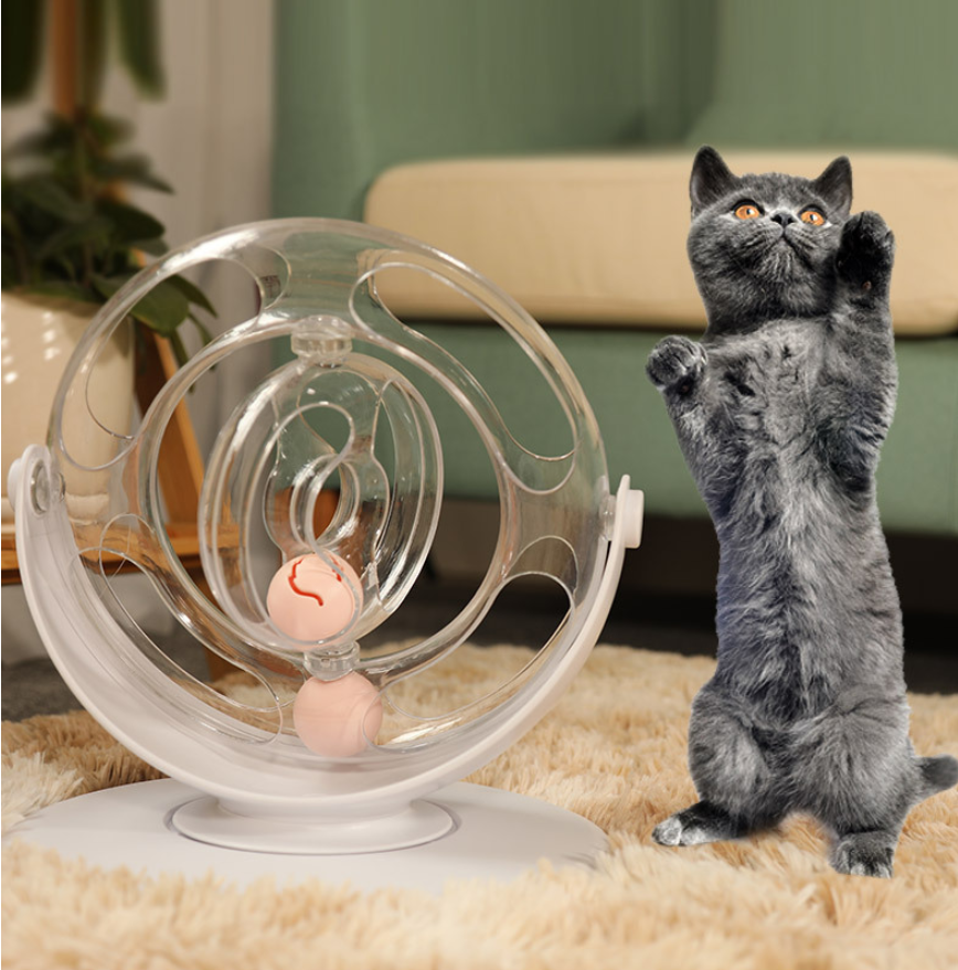 Cat turntable educational toy