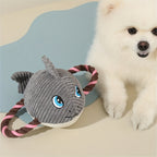 Turtle shaped dog chew toy, detail view