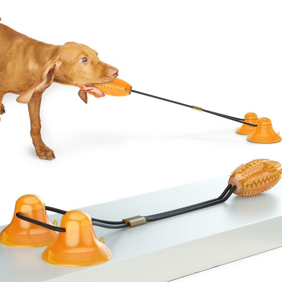 Multifunction Double Tug Rope Ball Sucker Toy for dogs