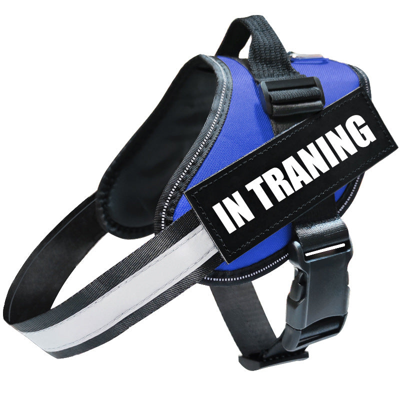 Reflective dog harness, alternate view