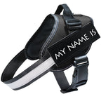 Reflective dog harness, close-up of strap