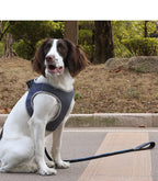 Dog Leash Vest Pet Harness adjustable strap detail