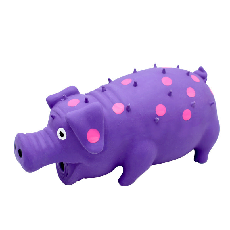 Pig-shaped latex dog toy, close-up view