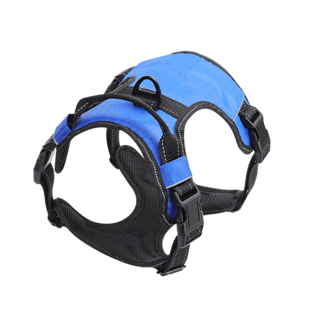 Nylon dog harness, adjustable fit