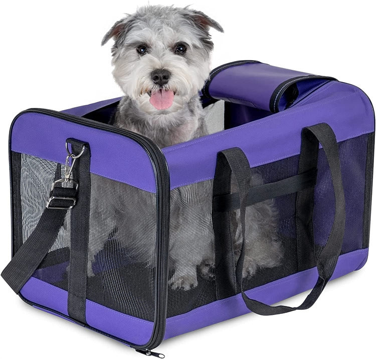 Pet Out Backpack pet carrier, alternate view
