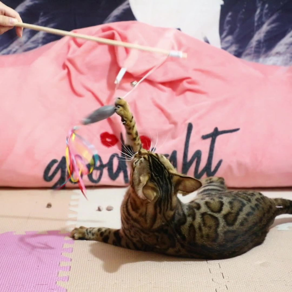 Cat wand toy handle close-up