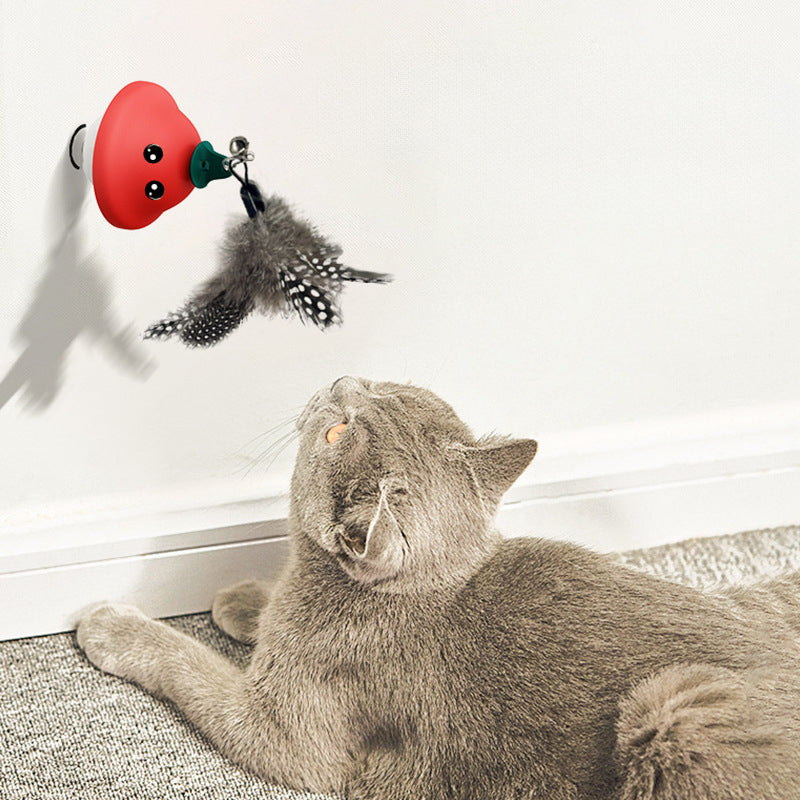 Cat wand toy attached via suction cup