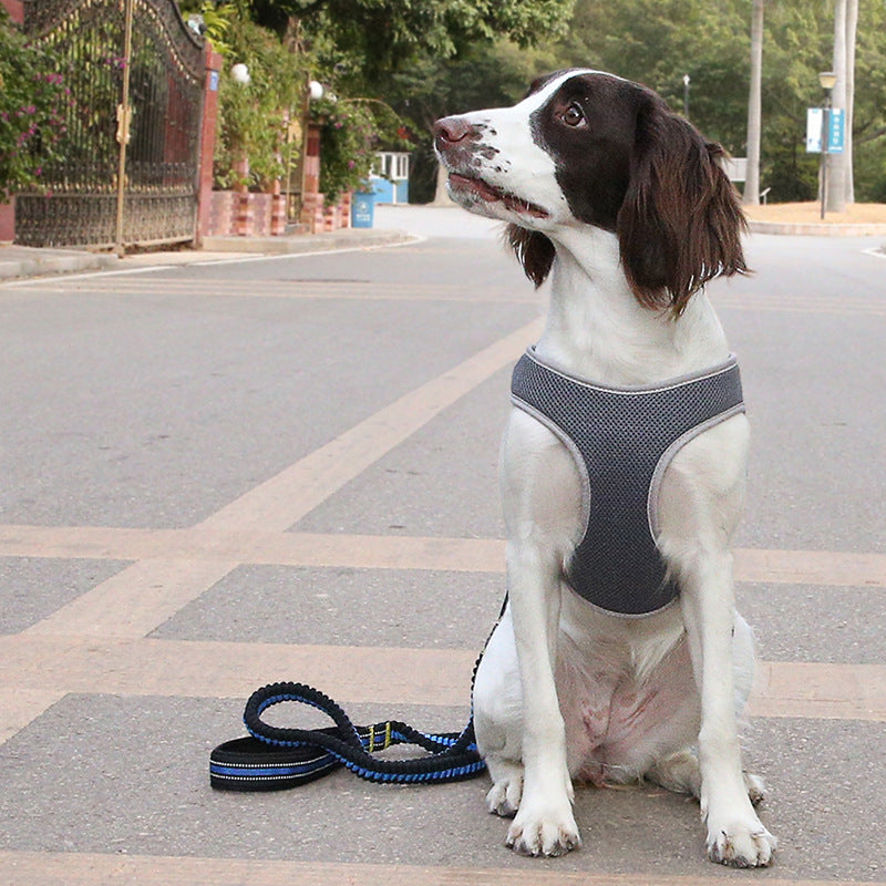 Dog Leash Vest Pet Harness product view
