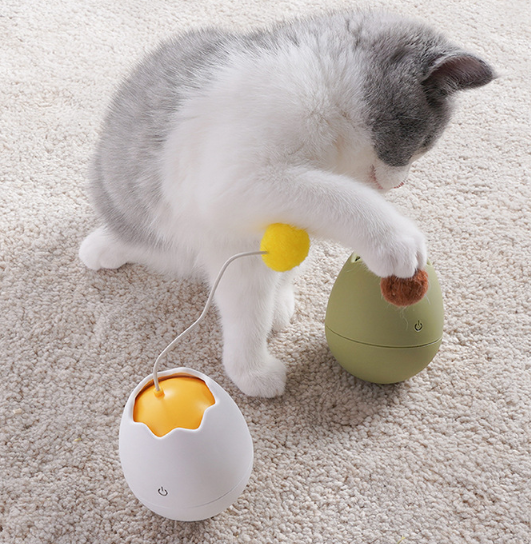 Cat playing with knot toy