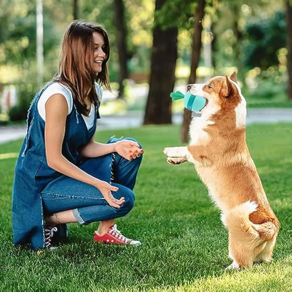 Treat dispensing tumbler toy shown at an angle