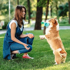 Treat dispensing tumbler toy shown at an angle