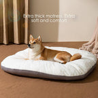 Oval dog bed inside a crate setting