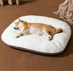 Oval dog bed placed on floor