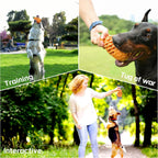 Rubber pineapple dog toy shown in different size