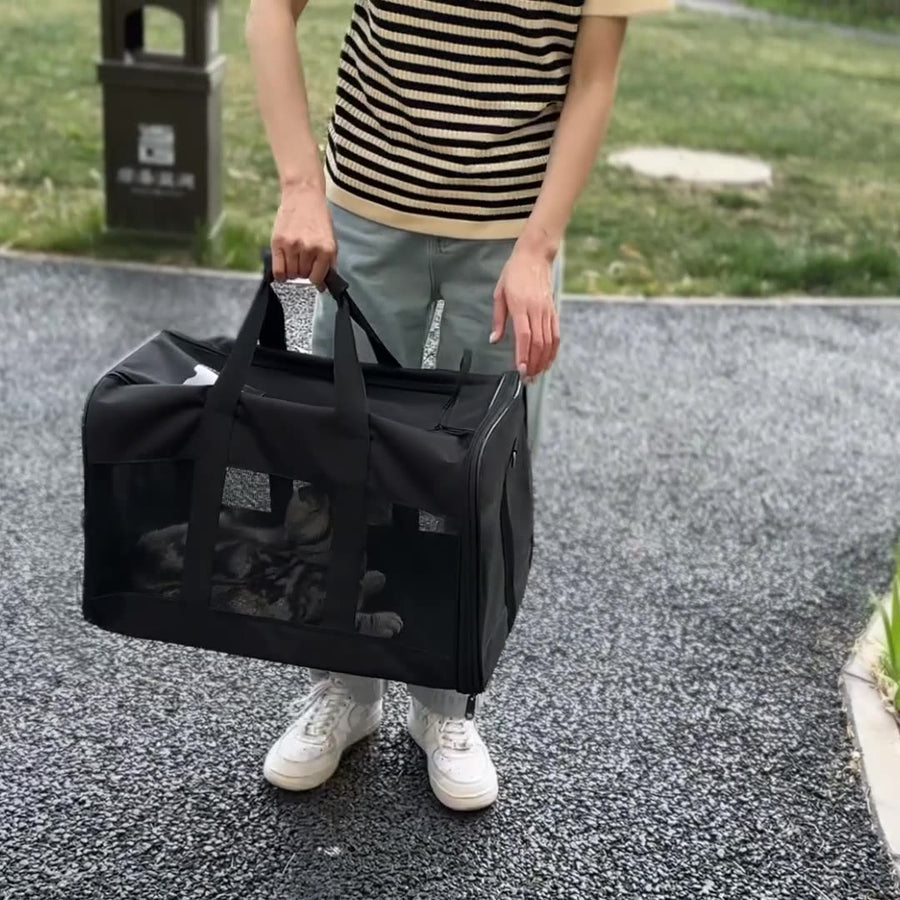 Pet Out Backpack pet carrier