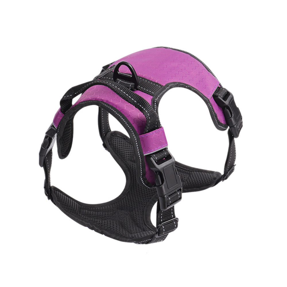 Dog harness in a different available color