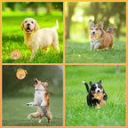 Yellow plush ball dog toy variant