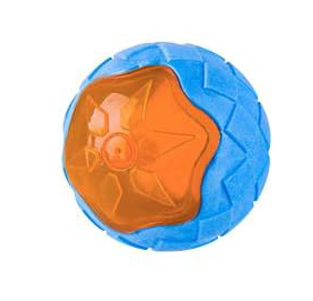 Dog playing fetch with squeaky toy