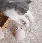Cat knot toy shown in green color