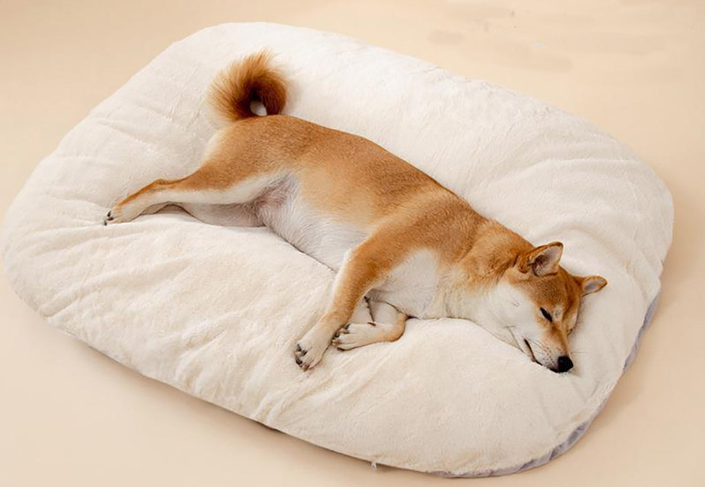 Oval dog bed showing plush surface texture