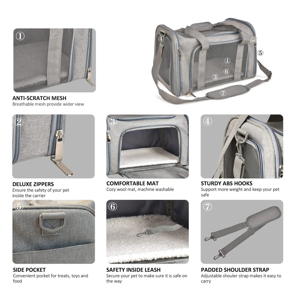 Pet carrier in an alternate color