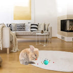 Treat dispensing tumbler toy shown being used by a dog