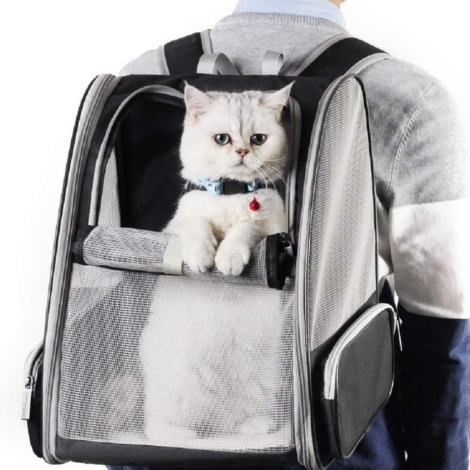 Pet carrier backpack interior with cosy mat
