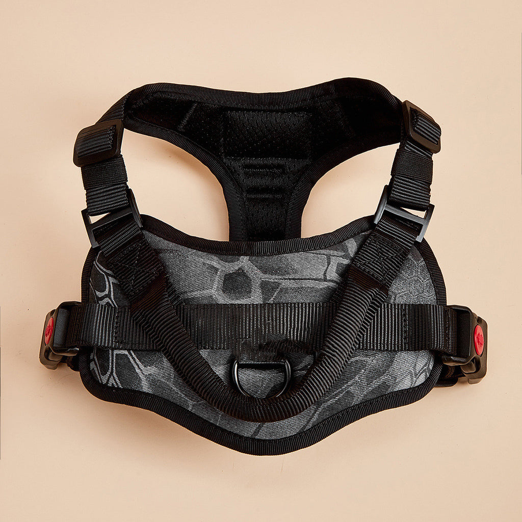 Adjustable straps on dog harness