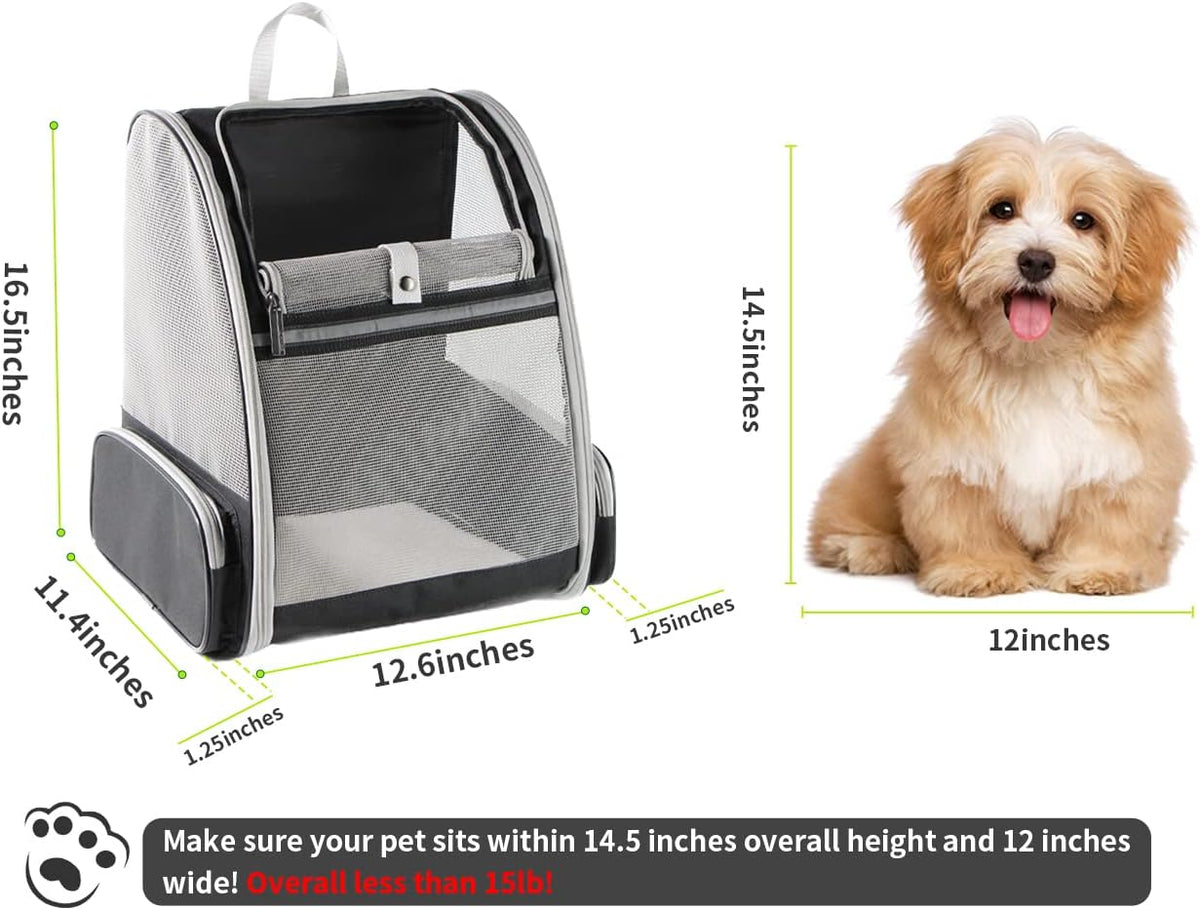 Pet backpack carrier being worn