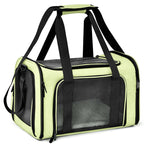 Pet carrier with pet inside mesh window