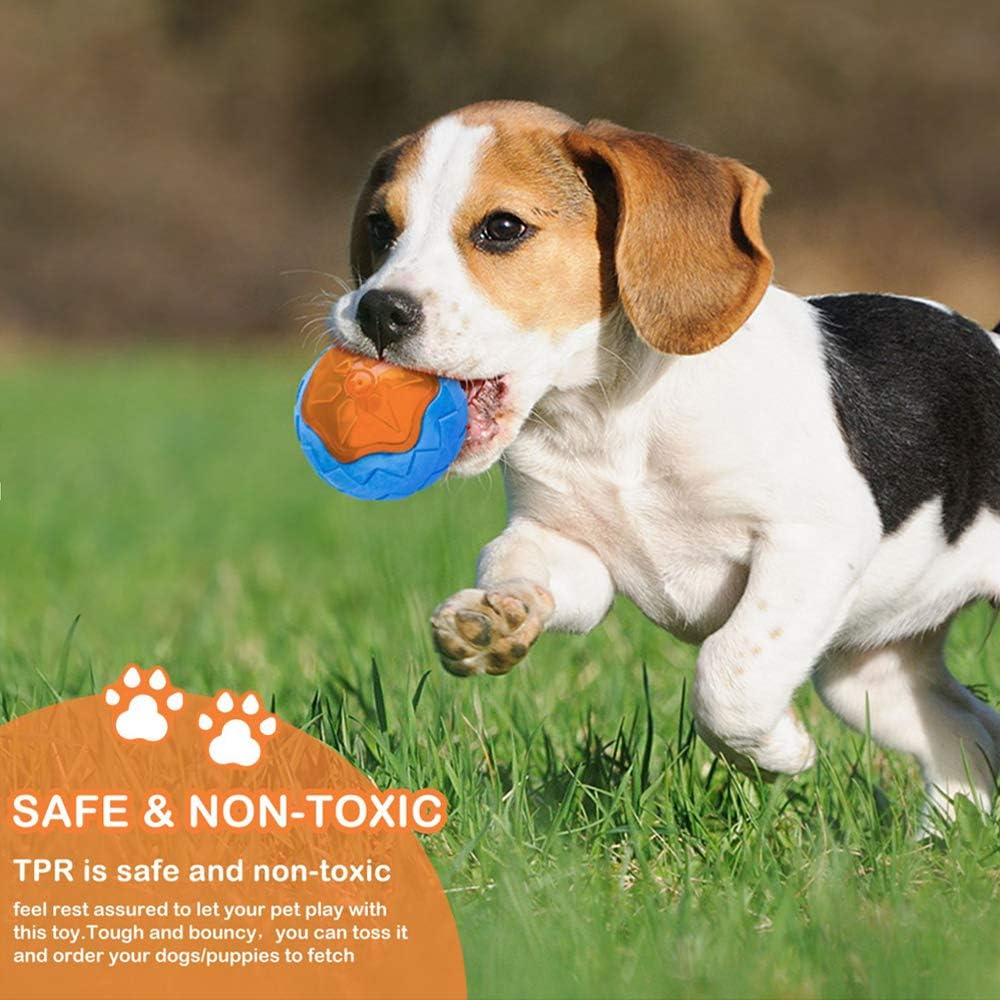 Dog squeaky floating toy set including tires, barbell, and ball