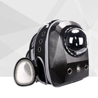 Pet carrier backpack worn on back
