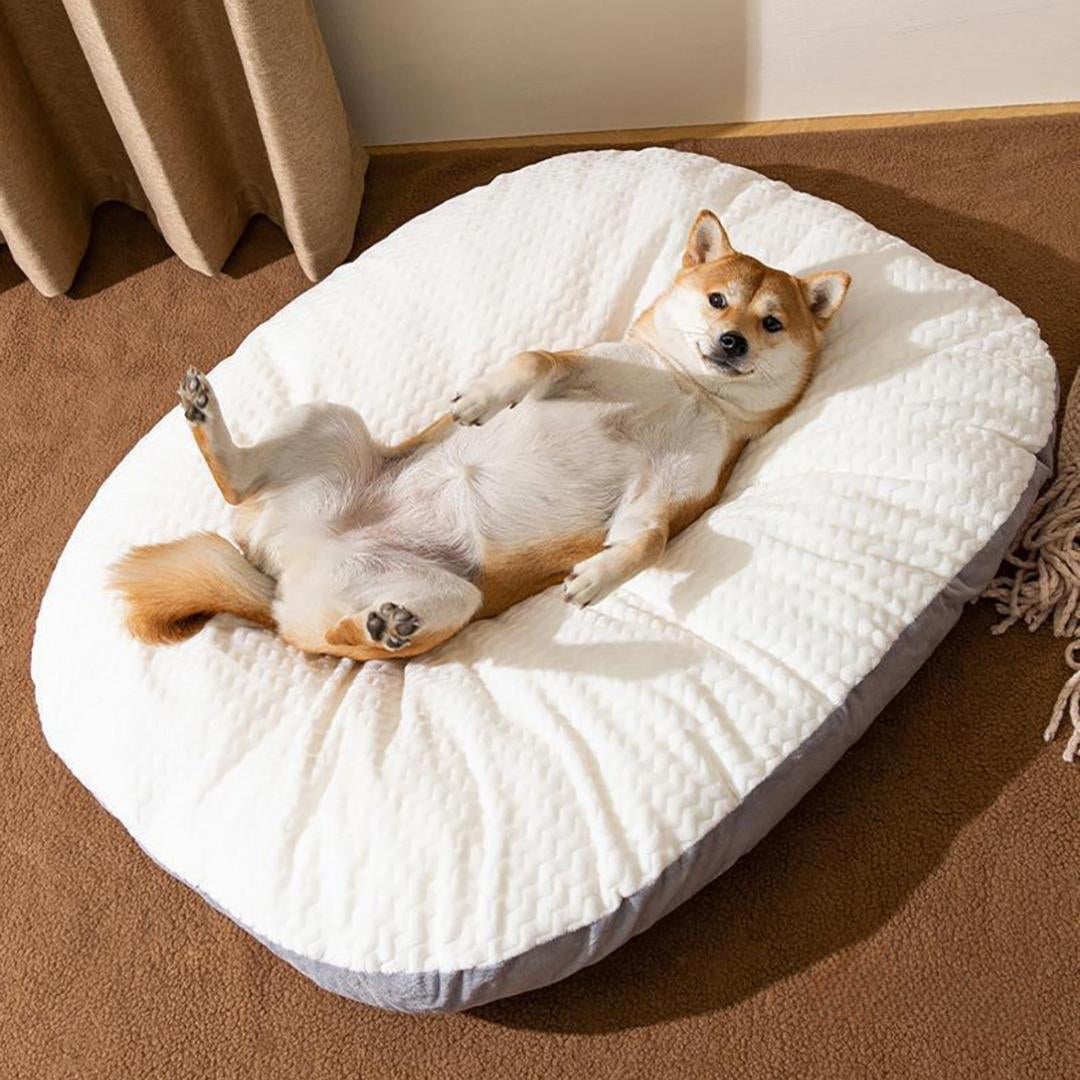 Dog bed shown from a side angle