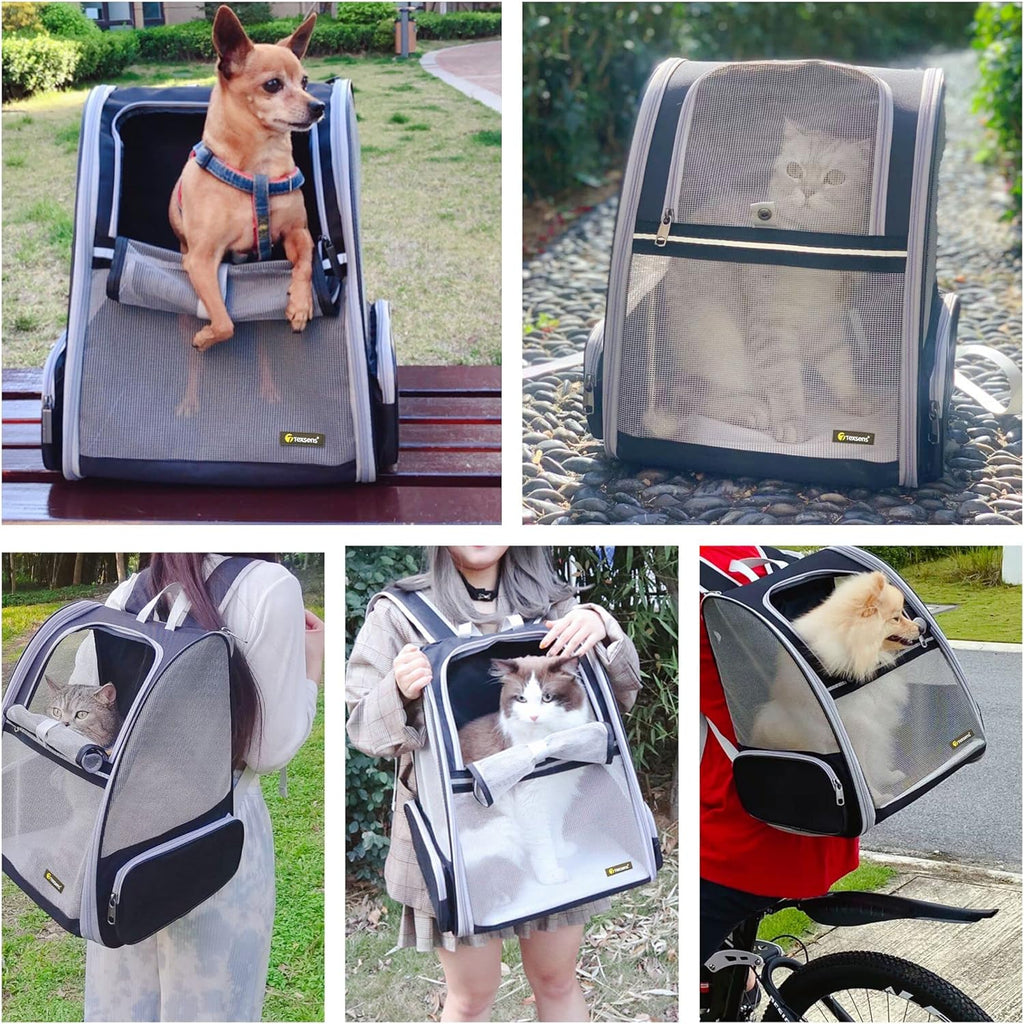 Pet backpack carrier chest buckle strap detail