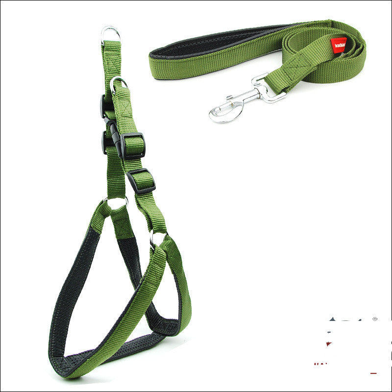 Dog Padded Harness Leash - reflective nylon leash, close-up