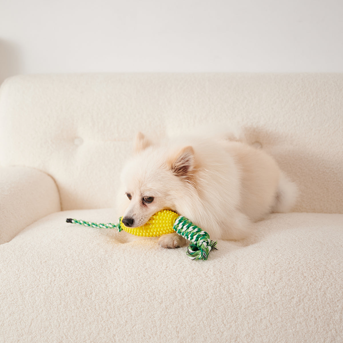 Dog chewing on corn-shaped toothbrush toy