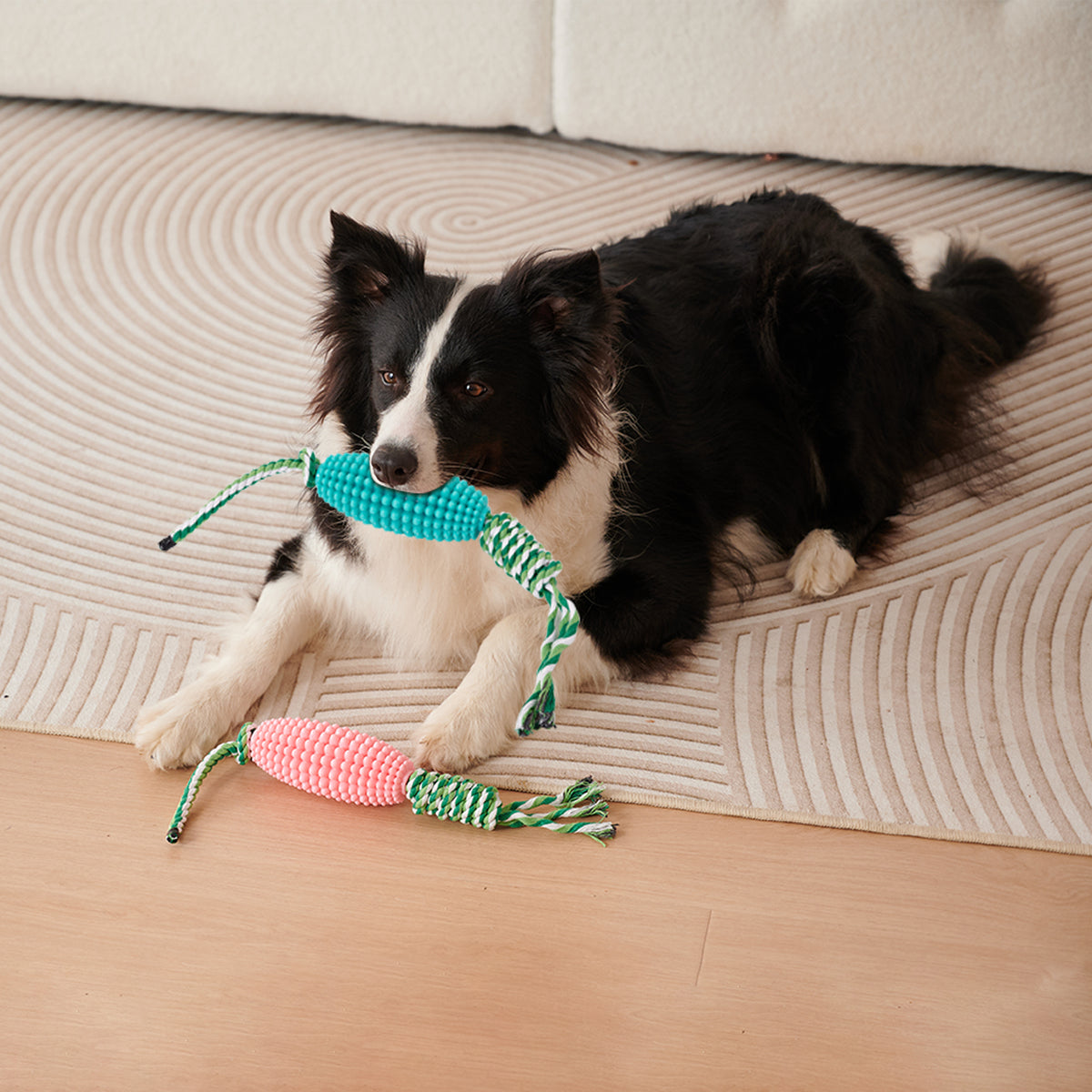Puppy corn toothbrush chew toy, close-up of texture
