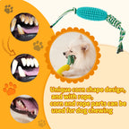 Puppy corn toothbrush chew toy in green