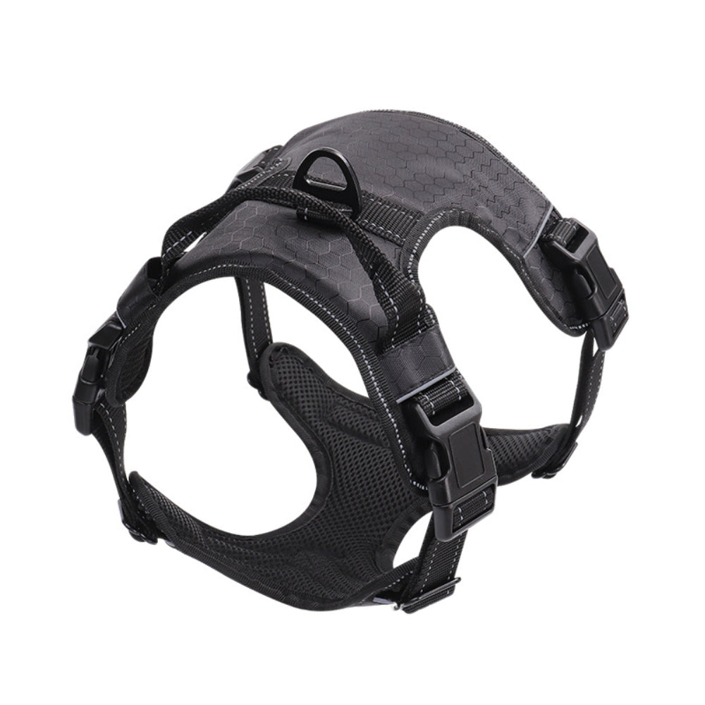 Close-up of dog harness chest strap