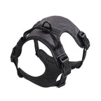 Close-up of dog harness chest strap