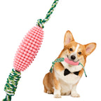 Corn-shaped puppy chew toy with zigzag molar design