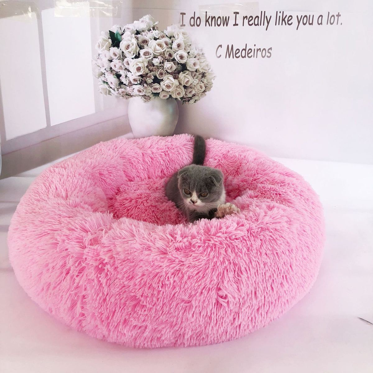 Round pet bed shown from the side